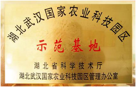 乐动|LDSports(中国)有限公司