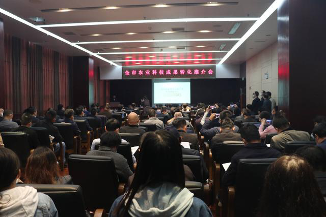 乐动|LDSports(中国)有限公司